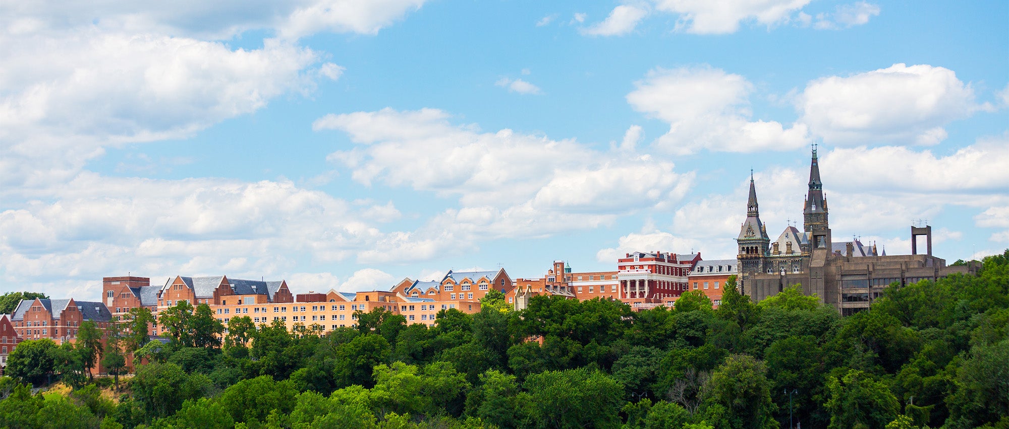 About Department of Microbiology and Immunology University